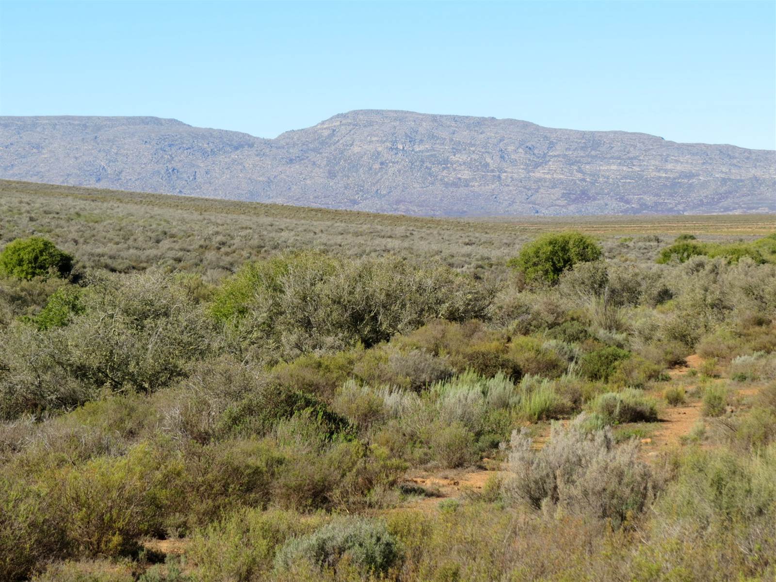 315 ha Land available in Montagu photo number 10