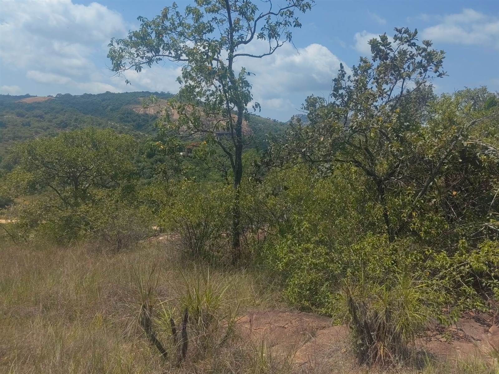 5 ha Land available in Nelspruit photo number 2