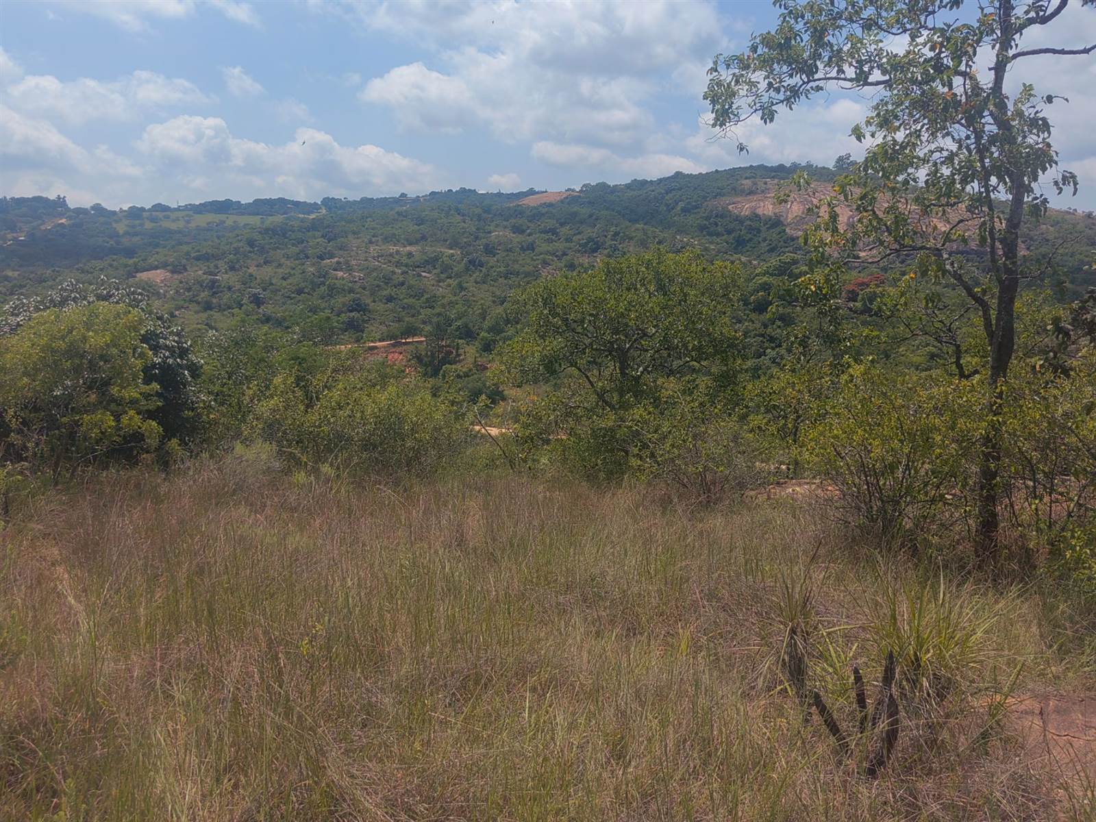 5 ha Land available in Nelspruit photo number 6