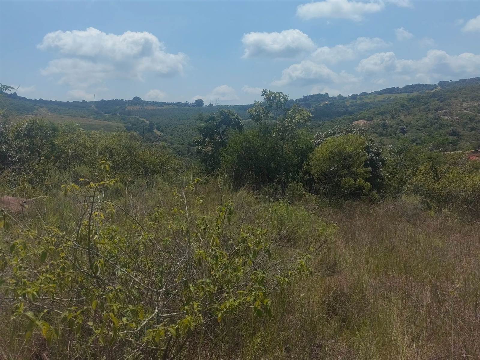 5 ha Land available in Nelspruit photo number 5