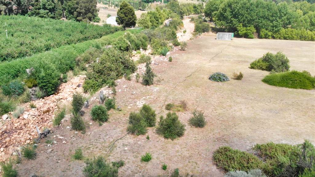 4.1 ha Land available in Stellenbosch Agricultural photo number 17