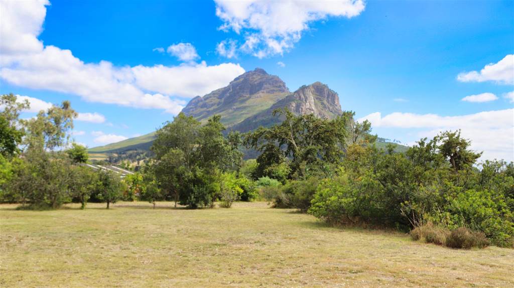 4.1 ha Land available in Stellenbosch Agricultural photo number 3
