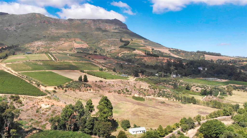 4.1 ha Land available in Stellenbosch Agricultural photo number 8