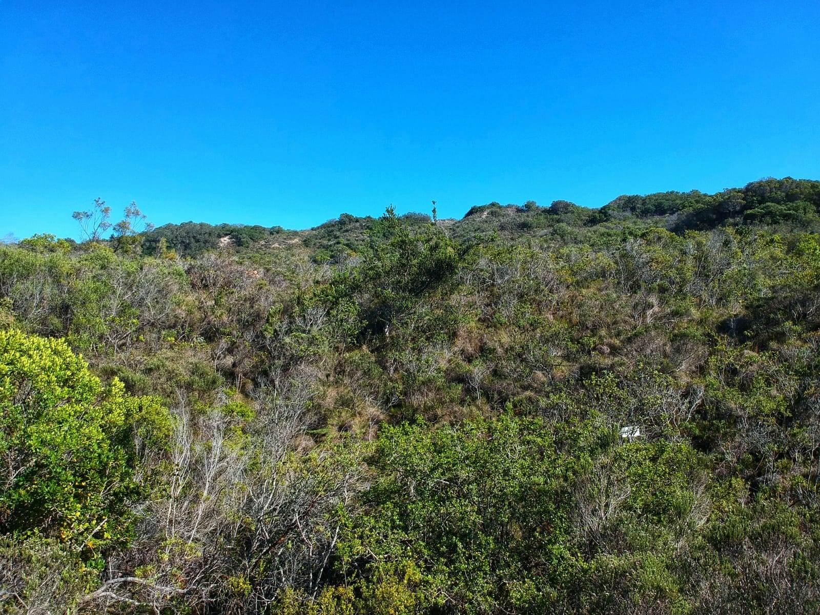 600 m² Land available in Gamtoos Mouth photo number 6