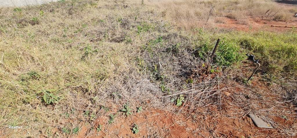 1551 m² Land available in Tzaneen photo number 5