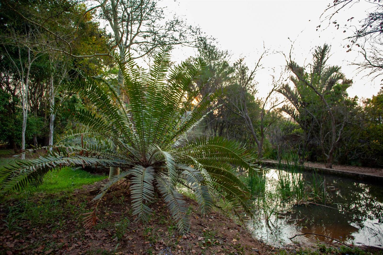 6.8 ha Farm in White River photo number 5