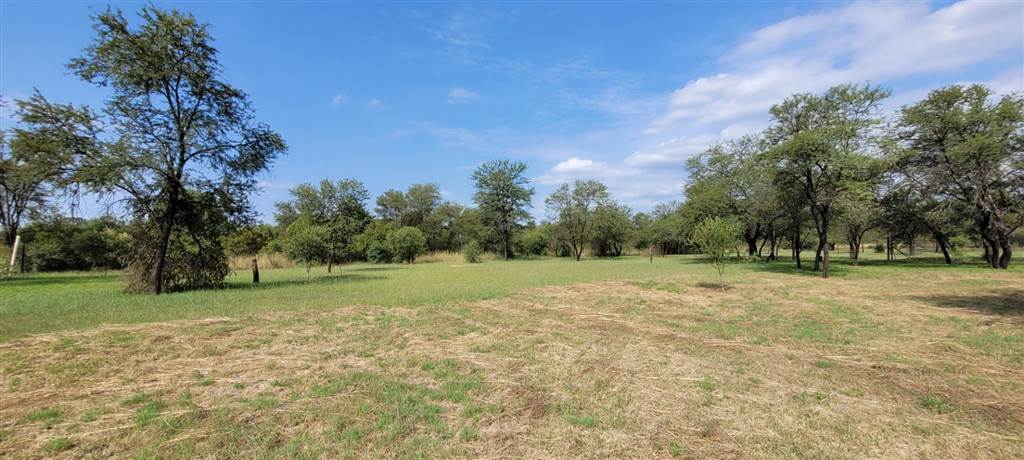 5578 m² Land available in Modimolle photo number 8