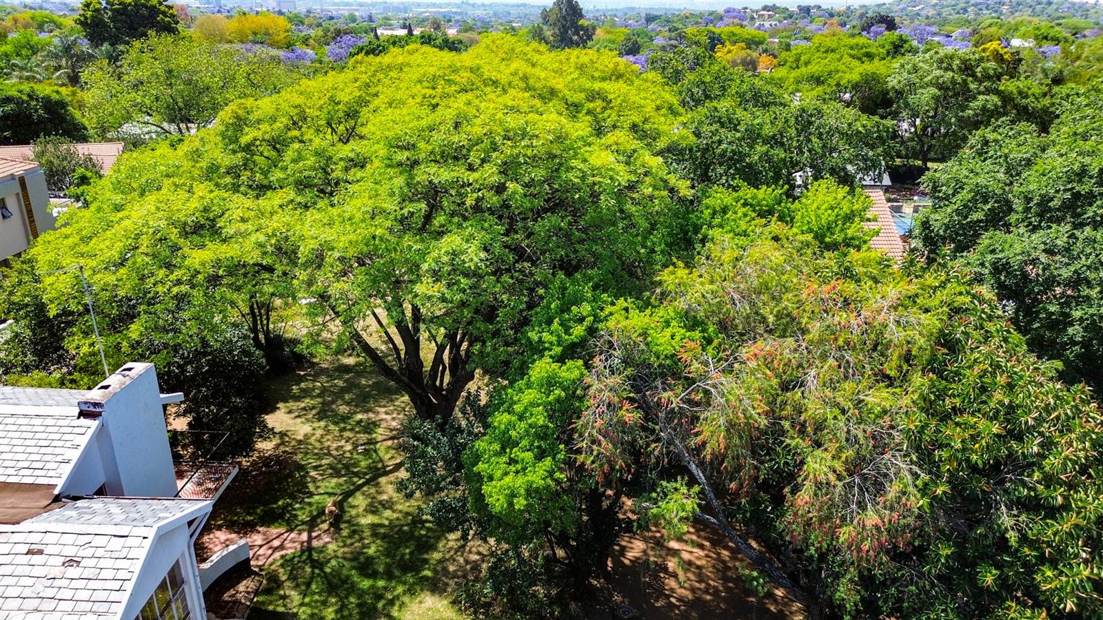 1265 m² Land available in Waterkloof photo number 13