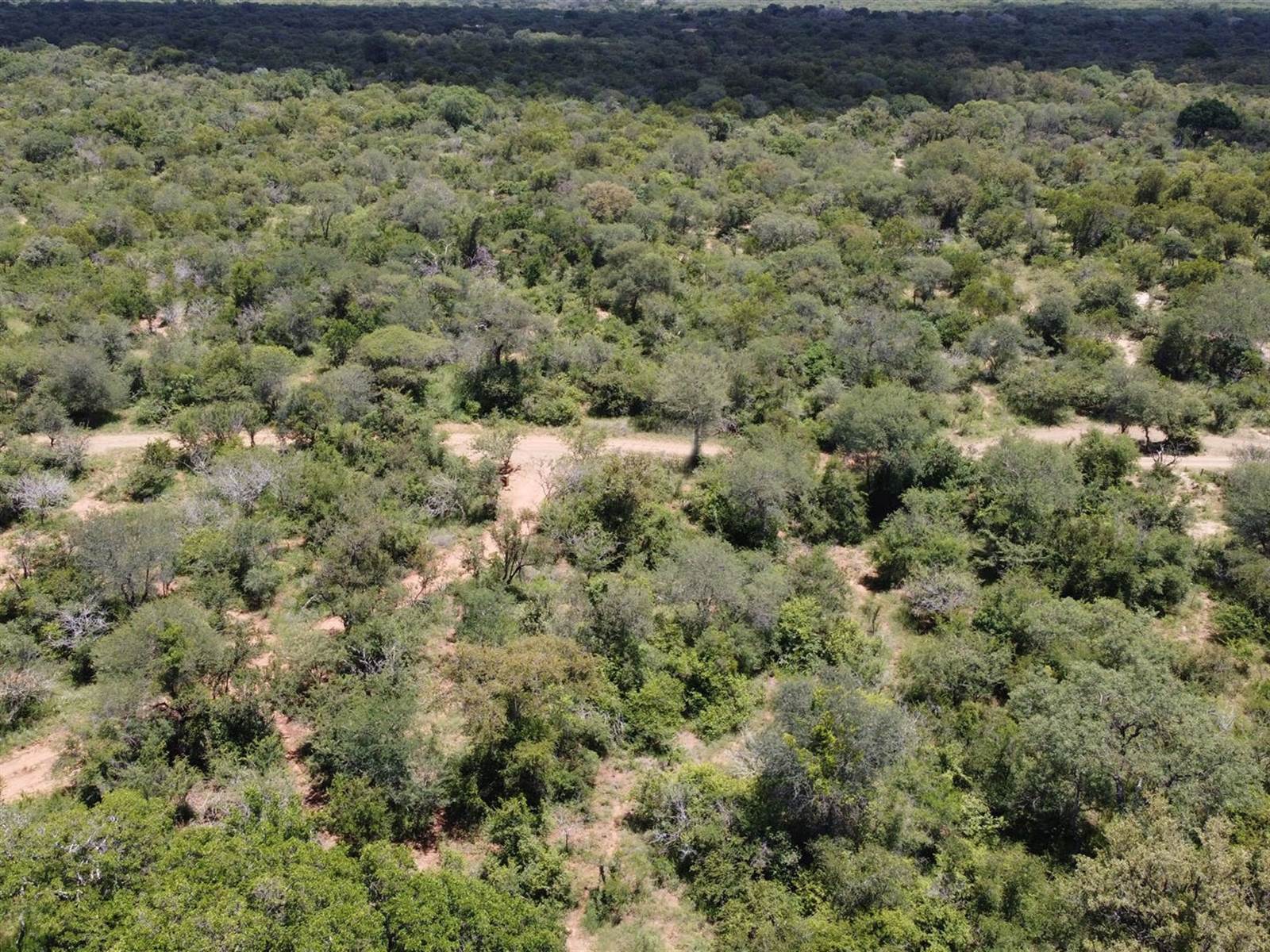 9340 m² Land available in Moditlo Nature Reserve photo number 10