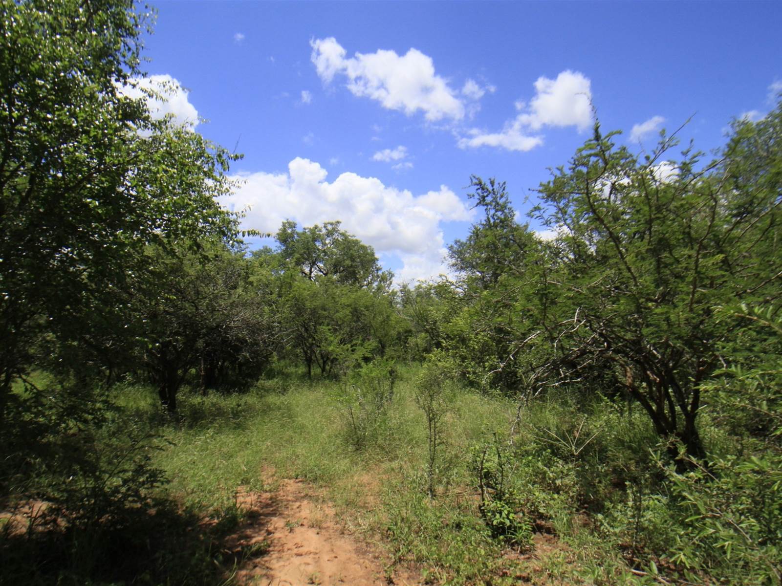 9340 m² Land available in Moditlo Nature Reserve photo number 5