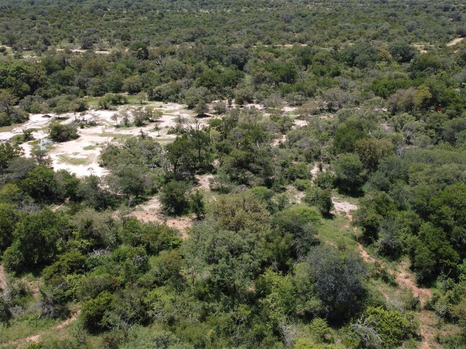 9340 m² Land available in Moditlo Nature Reserve photo number 8