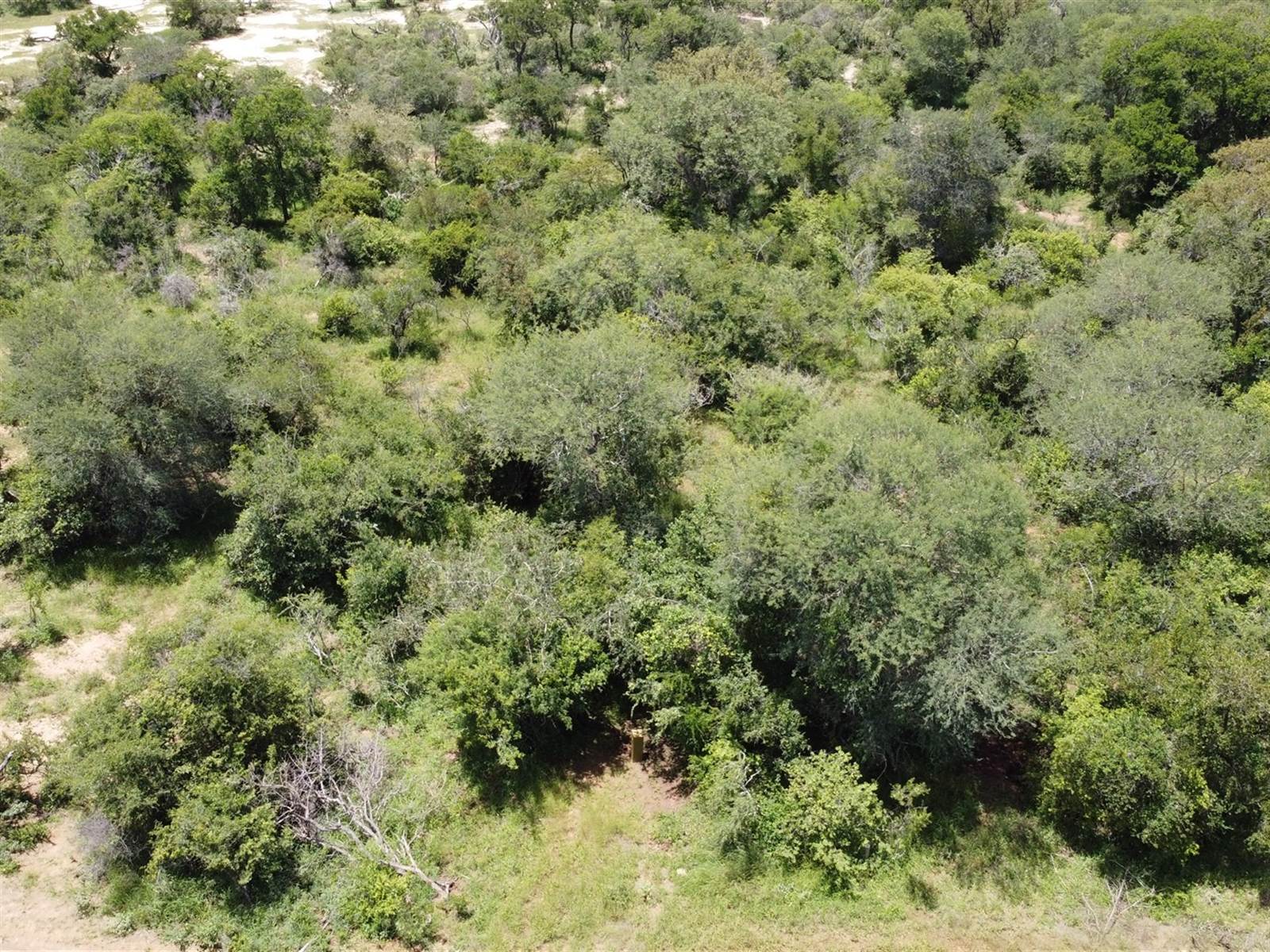 9340 m² Land available in Moditlo Nature Reserve photo number 6