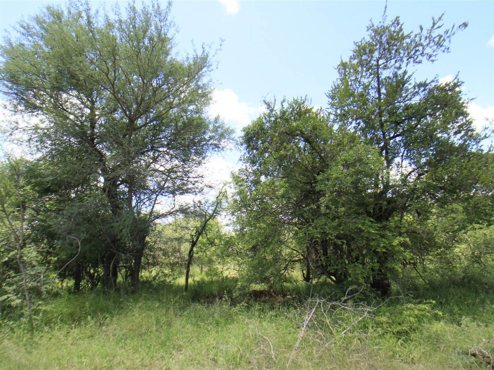 9340 m² Land available in Moditlo Nature Reserve photo number 2