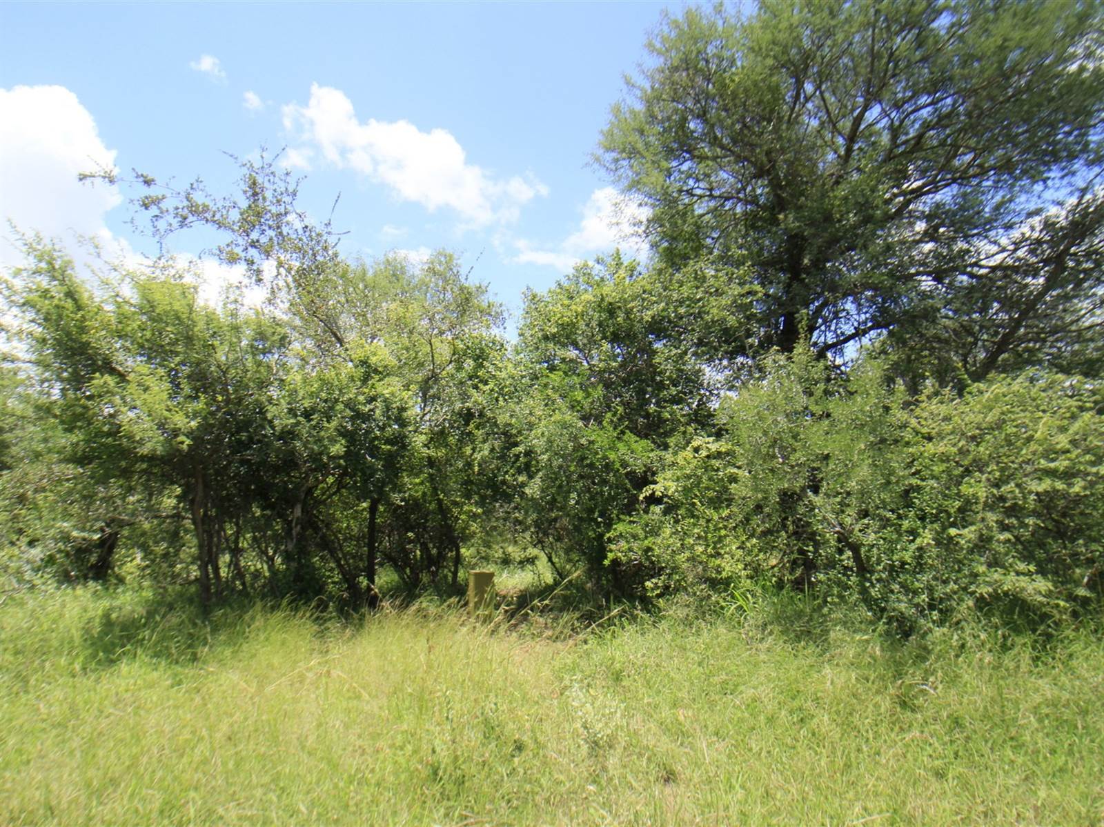 9340 m² Land available in Moditlo Nature Reserve photo number 3