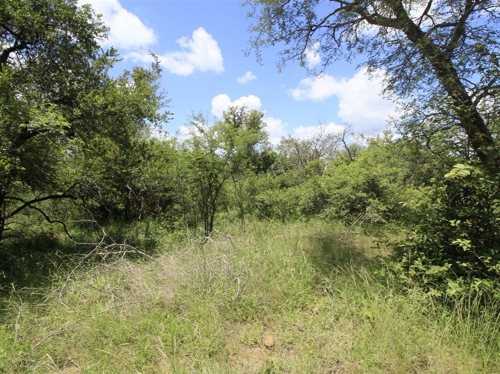 9340 m² Land available in Moditlo Nature Reserve photo number 4