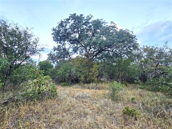 9 340 m² Land