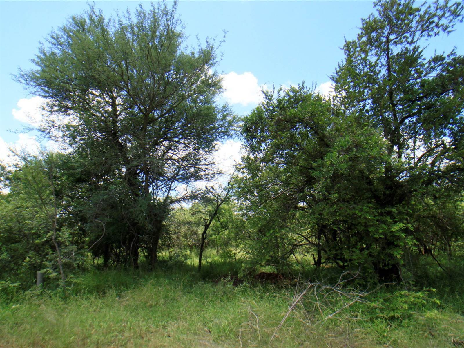 9340 m² Land available in Moditlo Nature Reserve photo number 1