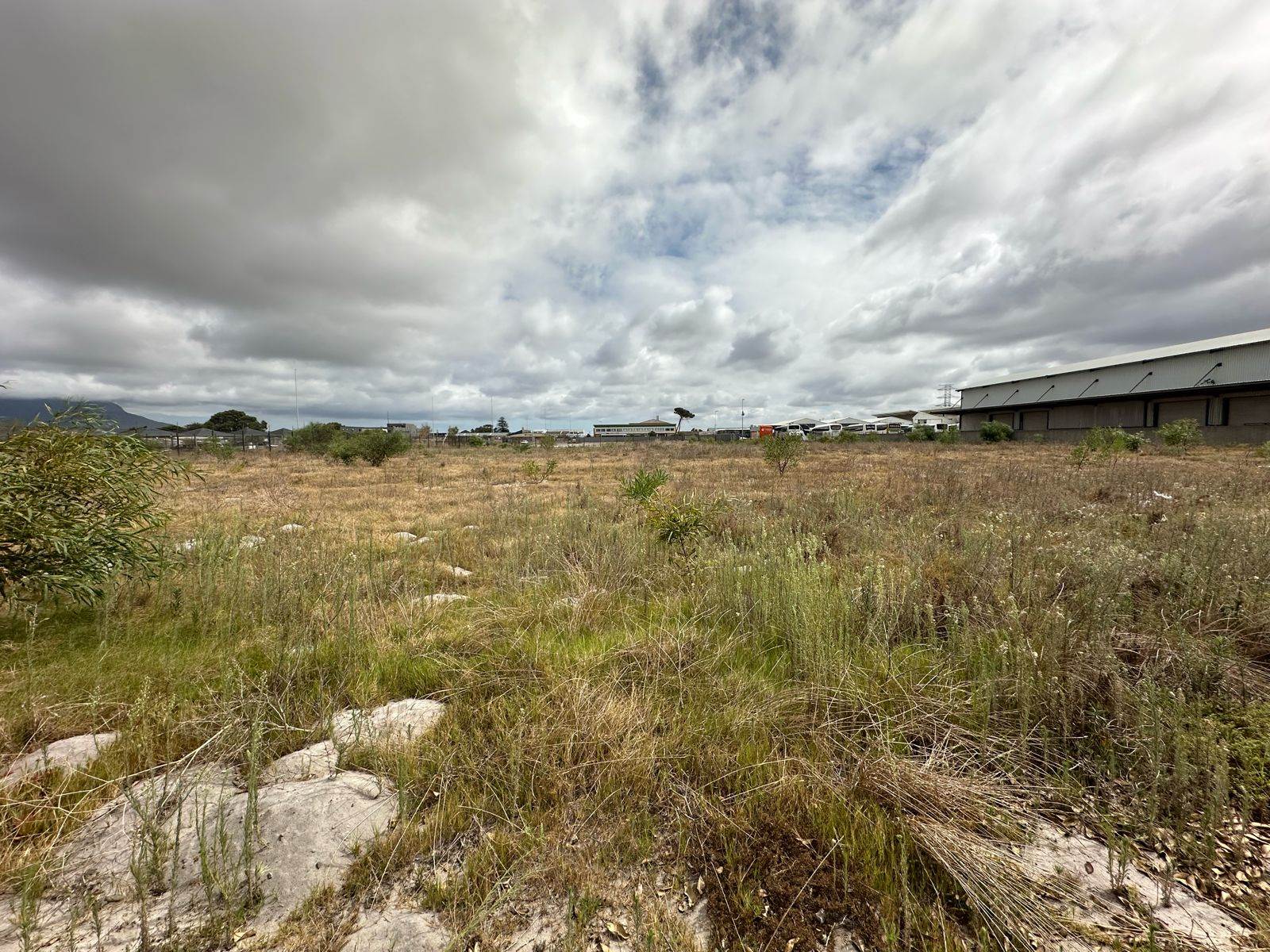 6700 m² Land available in Philippi photo number 6