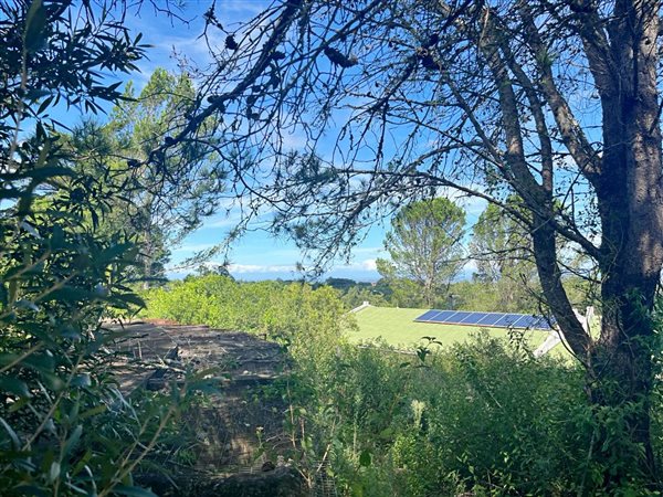 1171 m² Land available in Bathurst and Surrounds
