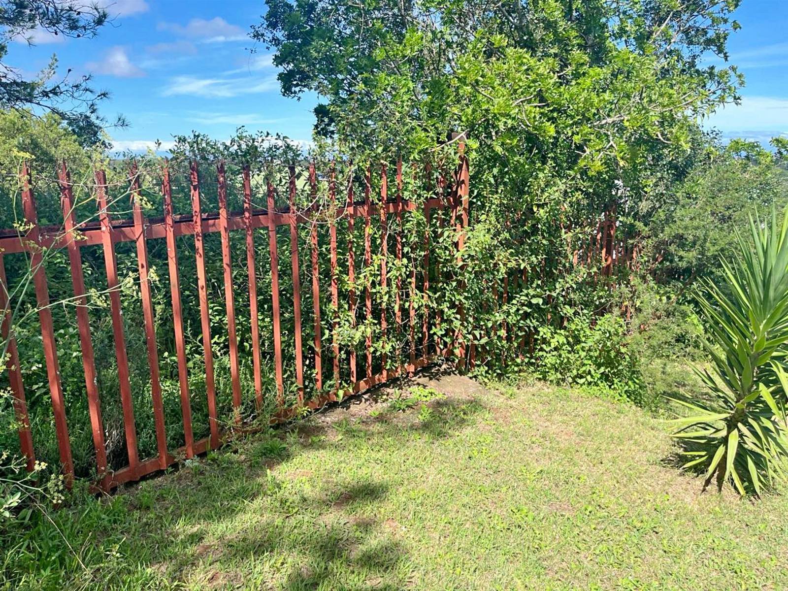 1171 m² Land available in Bathurst and Surrounds photo number 5
