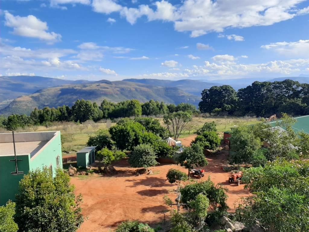 81 ha Smallholding in Lydenburg photo number 5