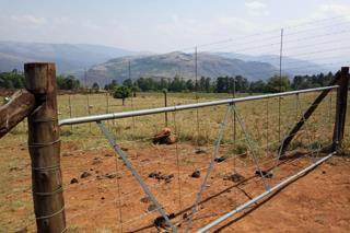 81 ha Smallholding in Lydenburg photo number 3