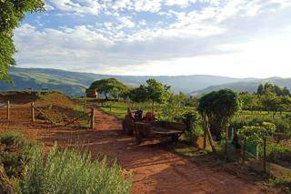 81 ha Smallholding in Lydenburg photo number 15