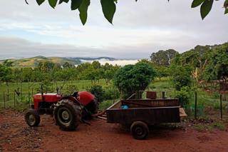 81 ha Smallholding in Lydenburg photo number 10