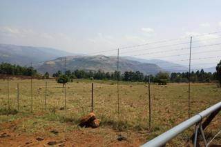 81 ha Smallholding in Lydenburg photo number 17