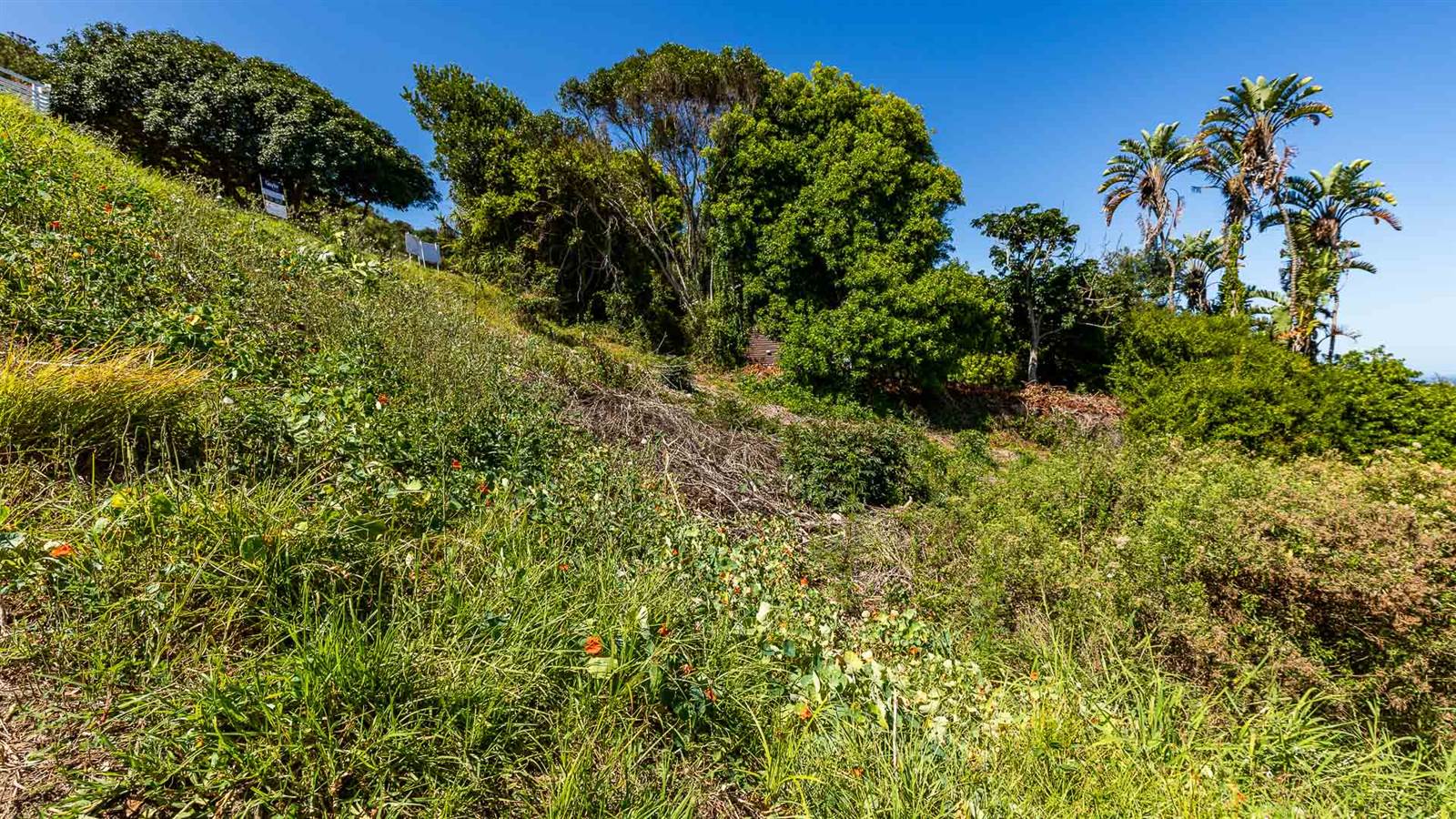 615 m² Land available in Glentana photo number 16