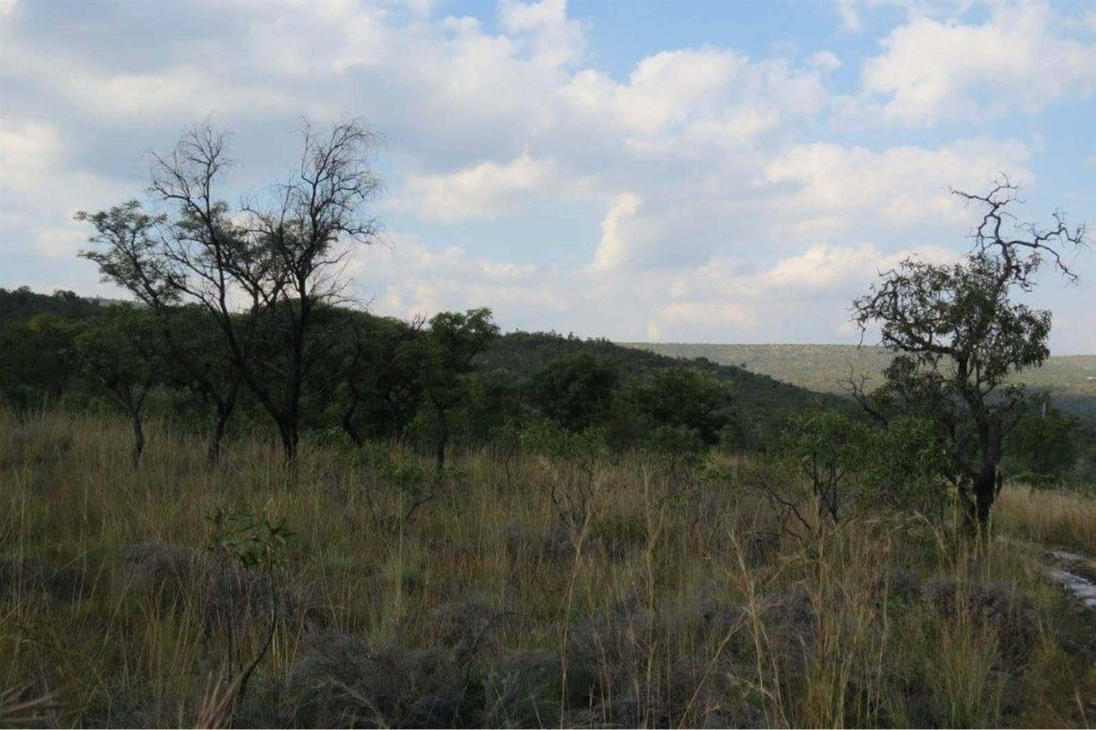 2500 m² Land available in Zwartkloof Private Game Reserve photo number 7
