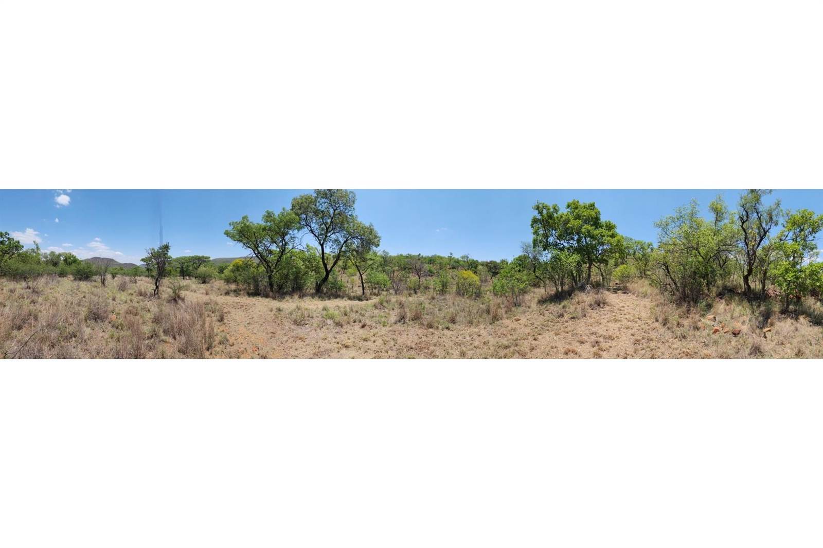 2500 m² Land available in Zwartkloof Private Game Reserve photo number 30