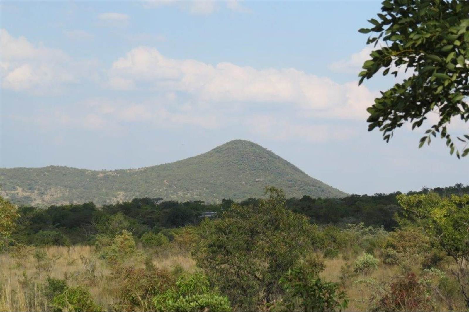 2500 m² Land available in Zwartkloof Private Game Reserve photo number 4