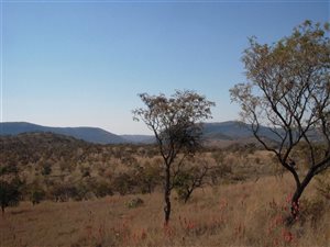21.4 ha Land available in Hennops River