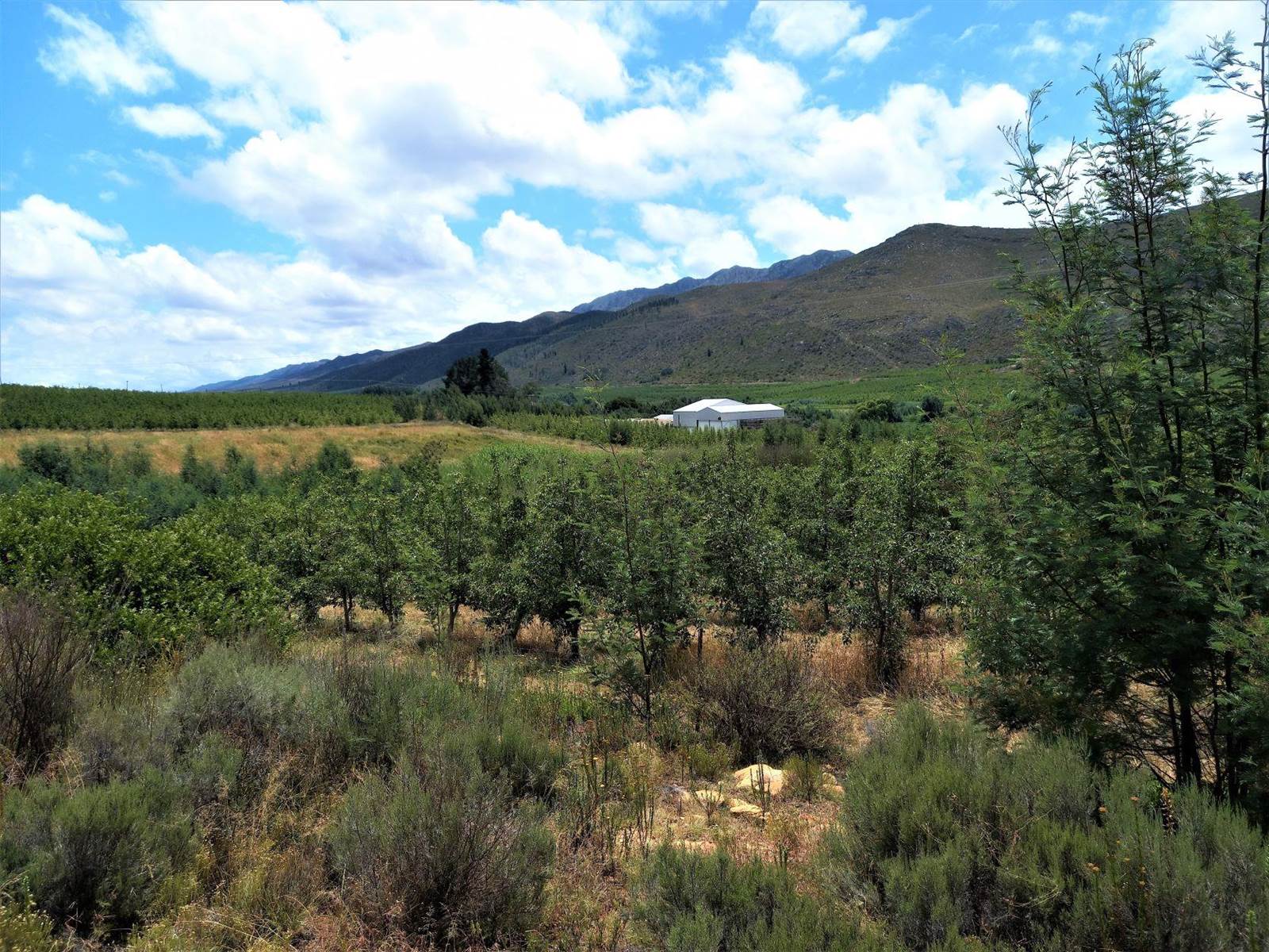 1840 ha Farm in Uniondale photo number 13