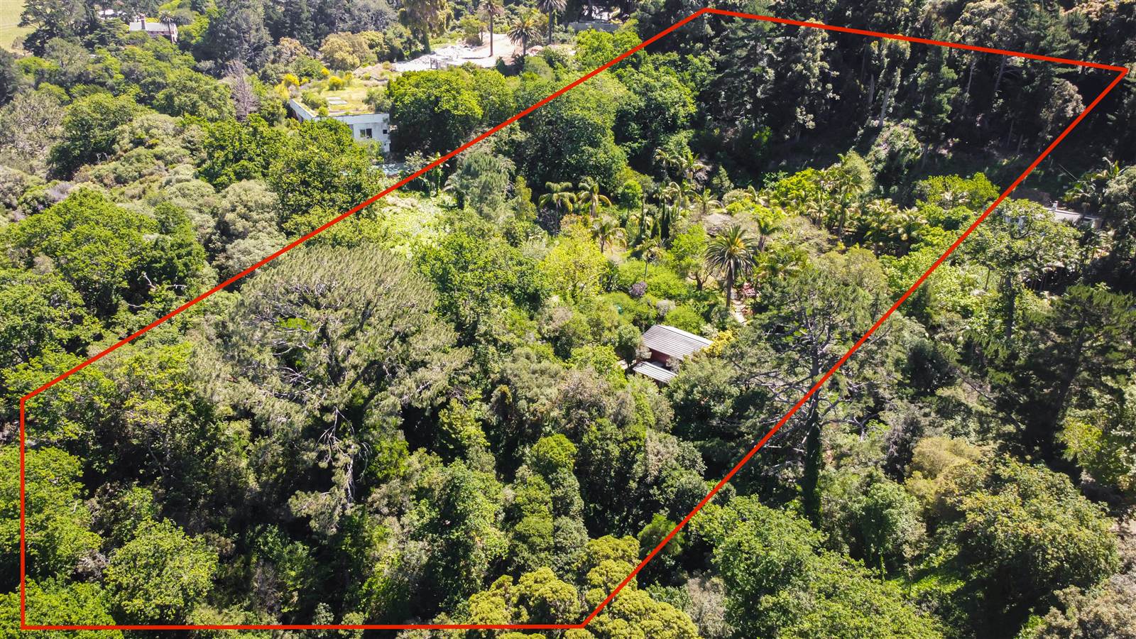 8000 m² Land available in Constantia photo number 4