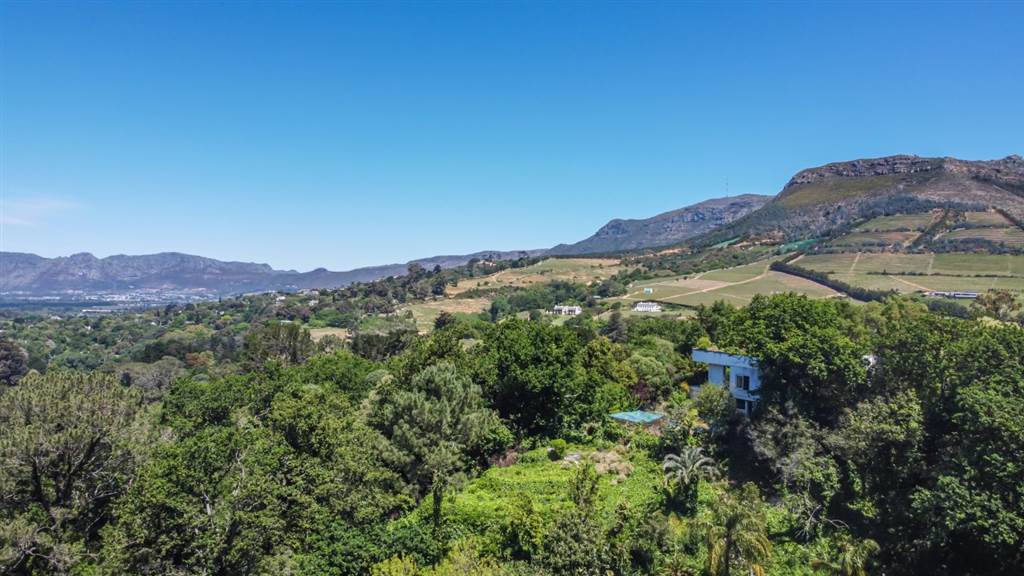 8000 m² Land available in Constantia photo number 5