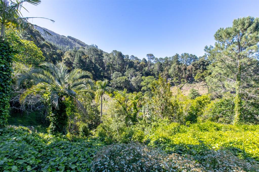 8000 m² Land available in Constantia photo number 13