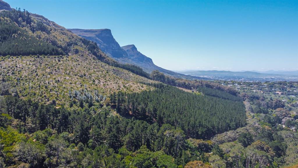 8000 m² Land available in Constantia photo number 8