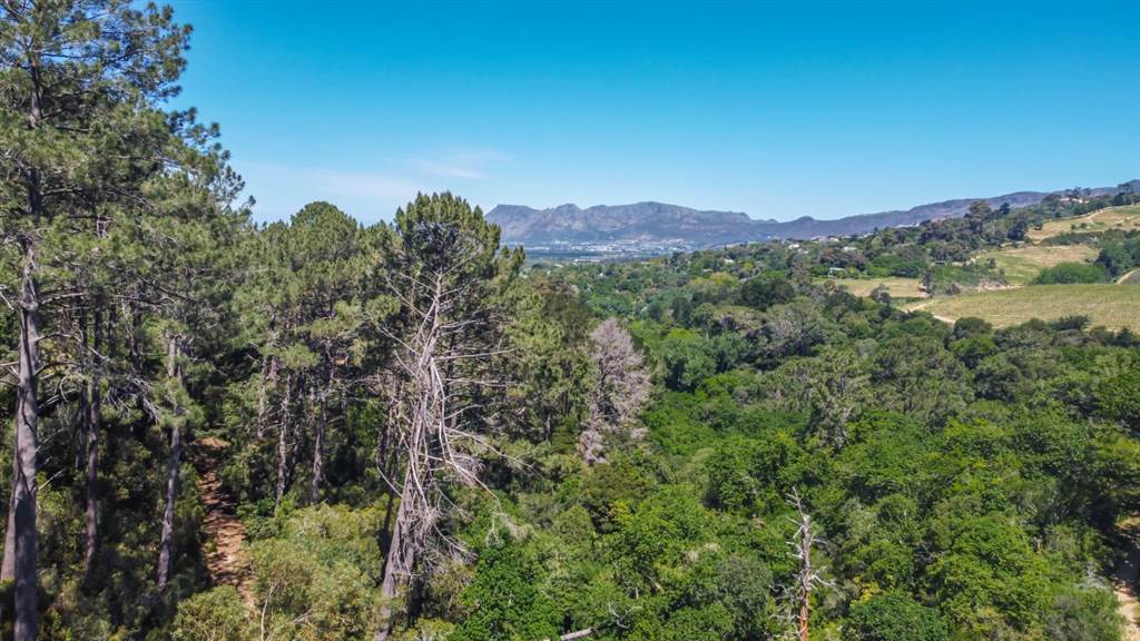 8000 m² Land available in Constantia photo number 10