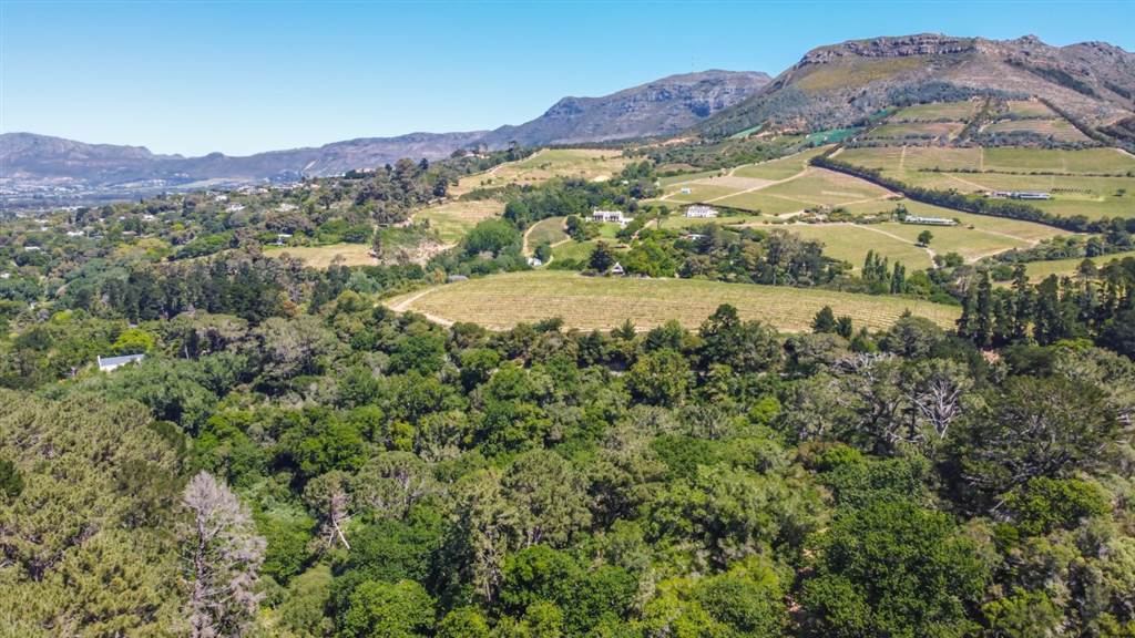 8000 m² Land available in Constantia photo number 12
