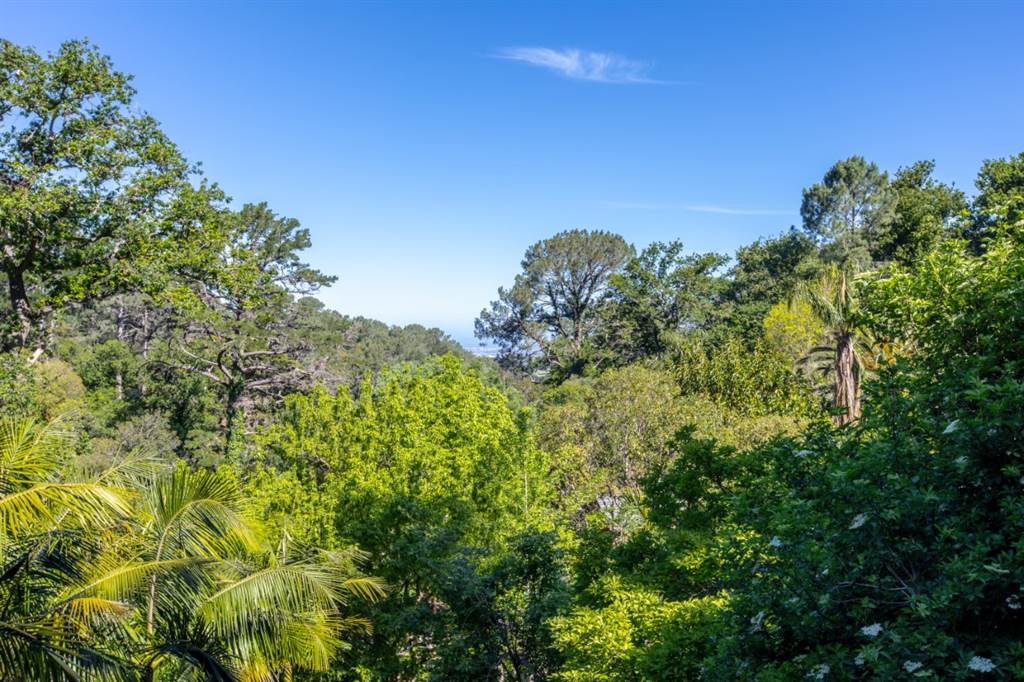 8000 m² Land available in Constantia photo number 23