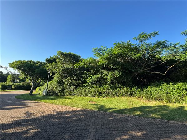 704 m² Land 704 m² Land
