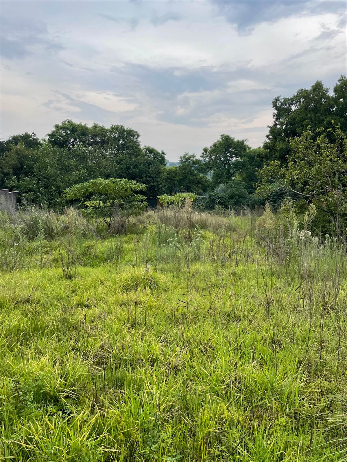 1500 m² Land available in Bryanston photo number 16