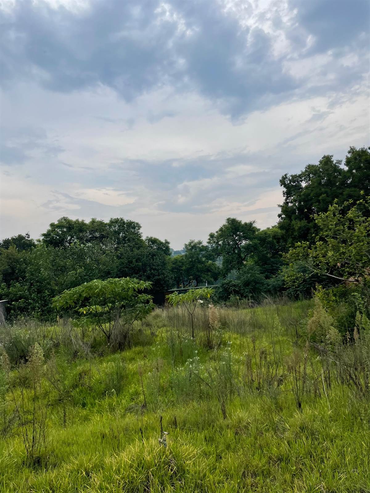 1500 m² Land available in Bryanston photo number 9