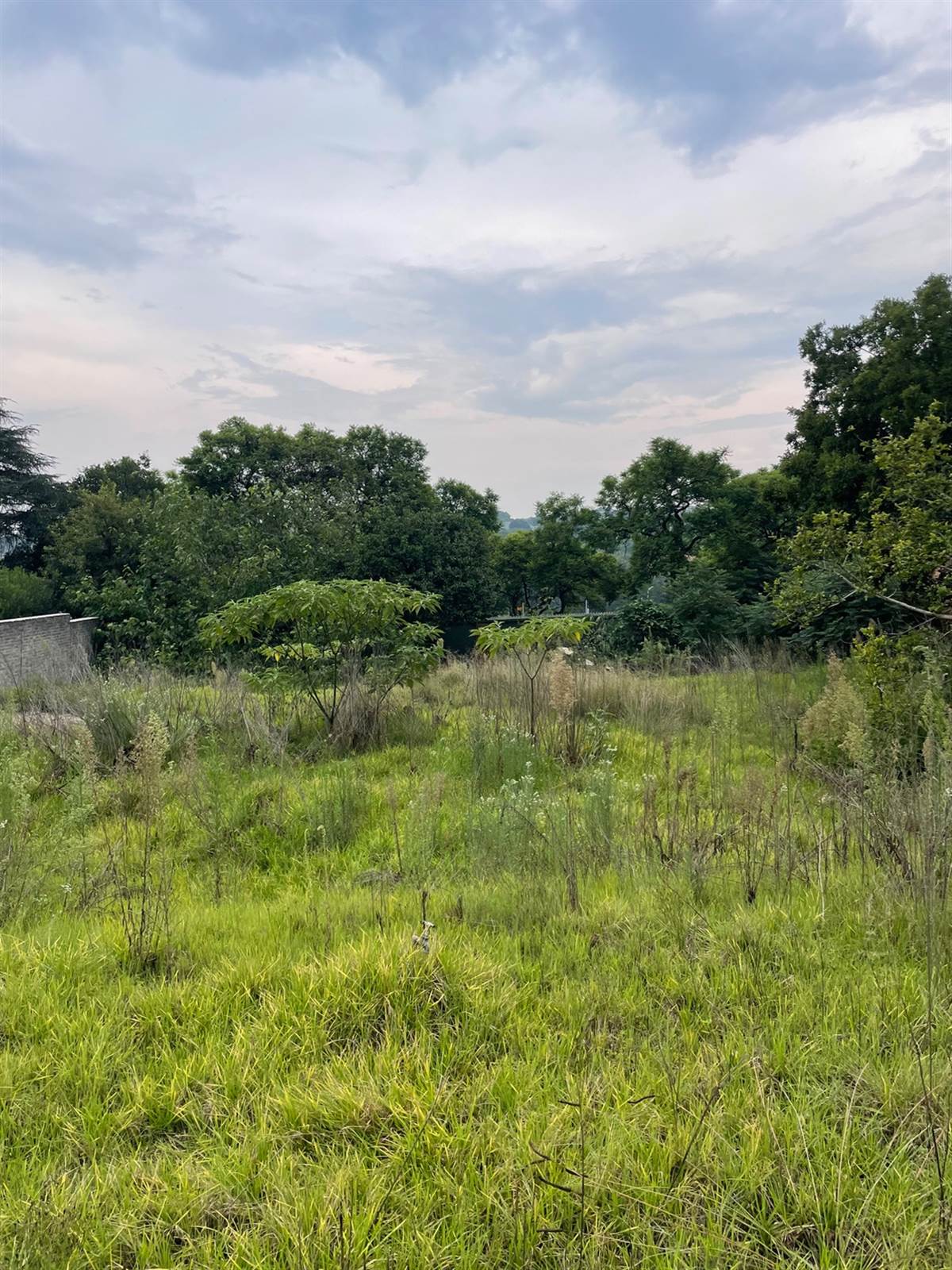 1500 m² Land available in Bryanston photo number 10