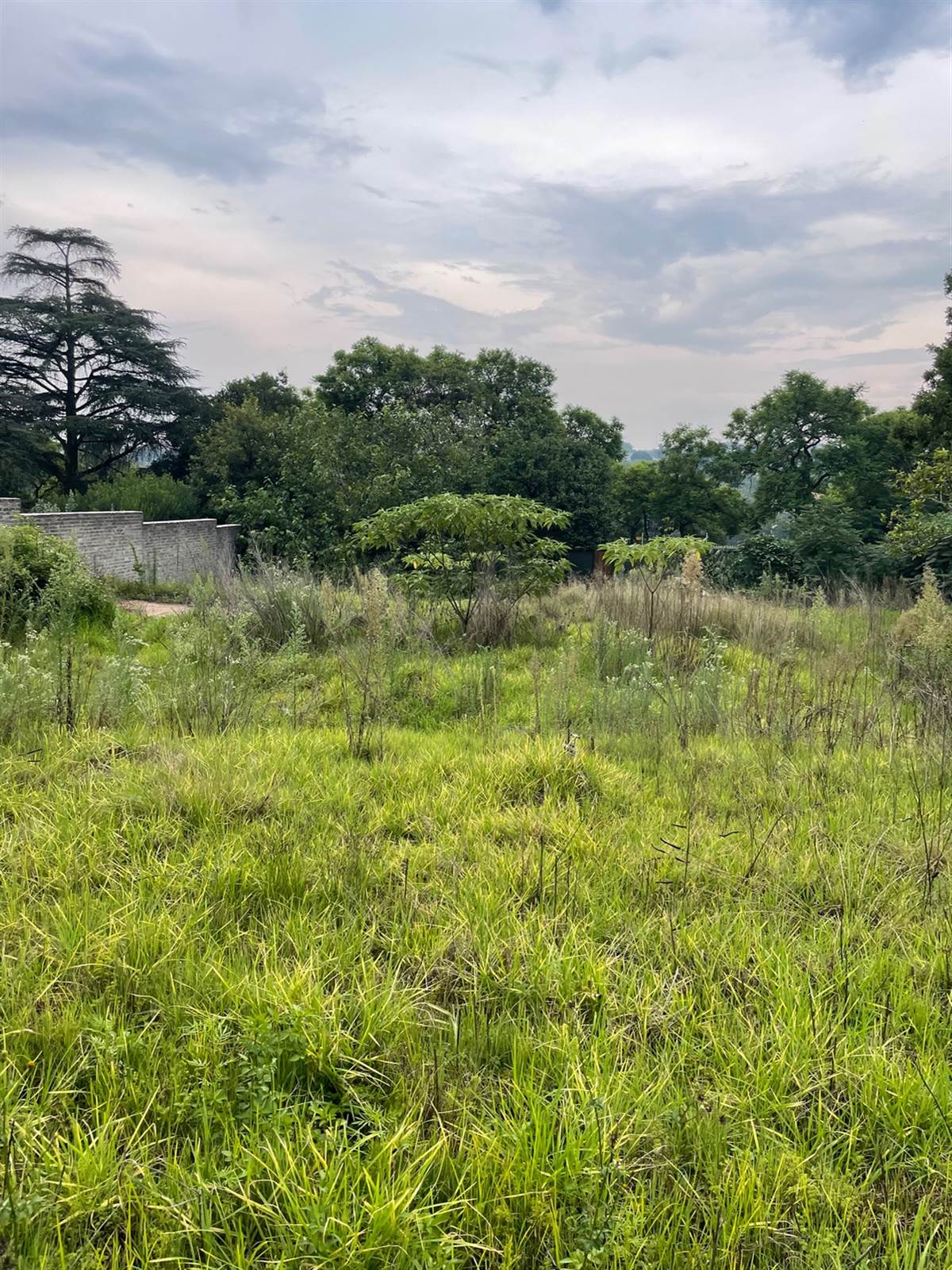 1500 m² Land available in Bryanston photo number 15