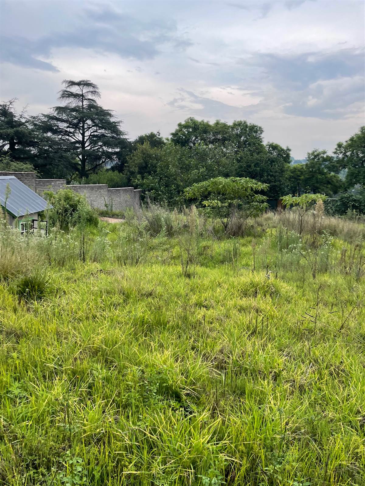 1500 m² Land available in Bryanston photo number 11