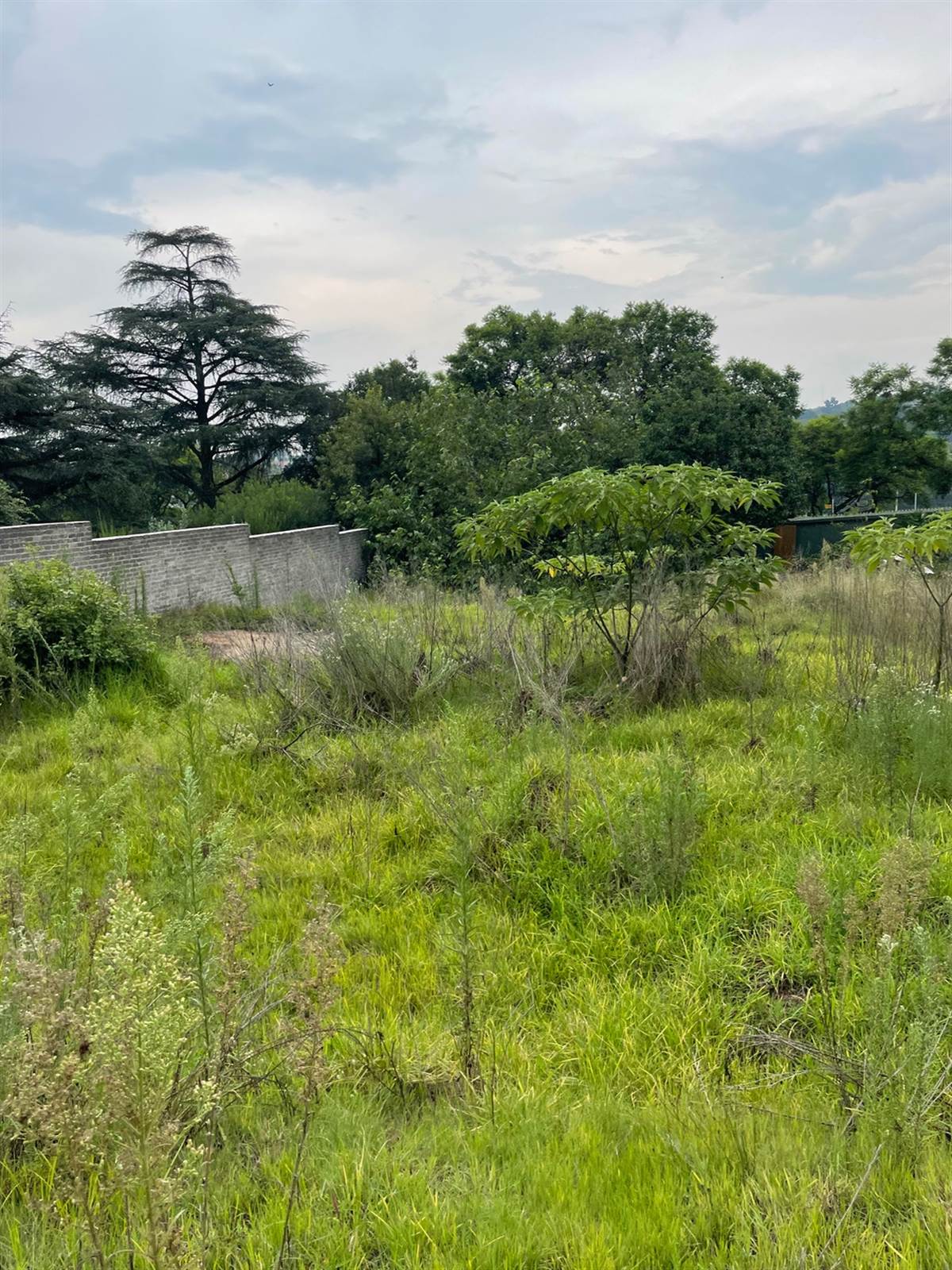 1500 m² Land available in Bryanston photo number 22