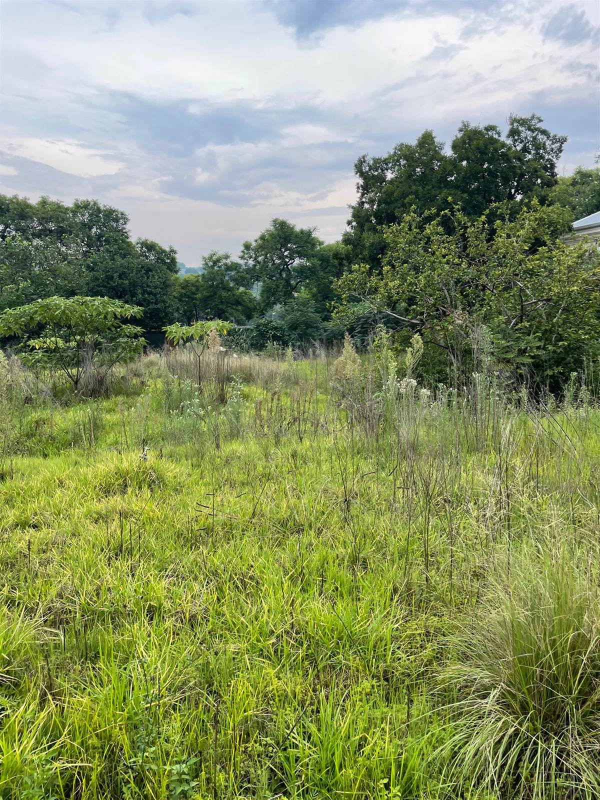 1500 m² Land available in Bryanston photo number 13